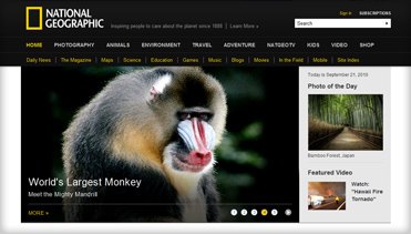 攻击网站服务器